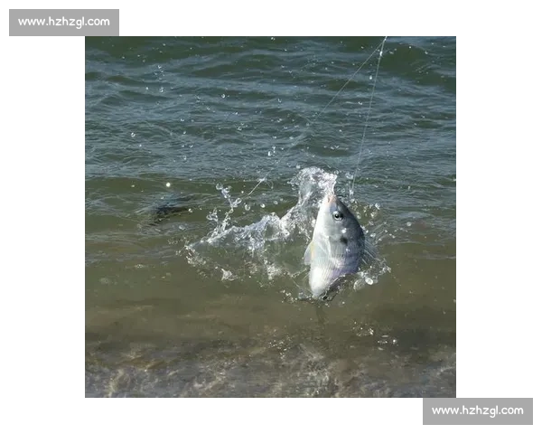 鱼吻破水面时,鱼线已飞出